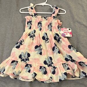 Disney Minnie Mouse Pink and Cream Dress